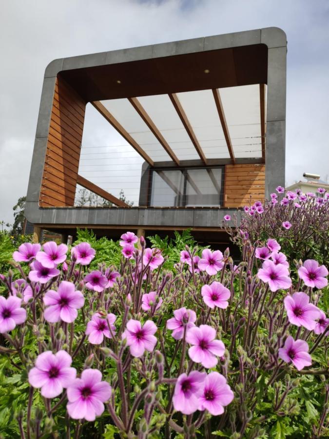 Calheta Glamping Pods - Nature Retreat Exterior foto