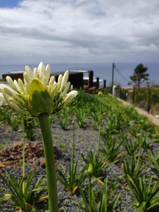 Calheta Glamping Pods - Nature Retreat Exterior foto