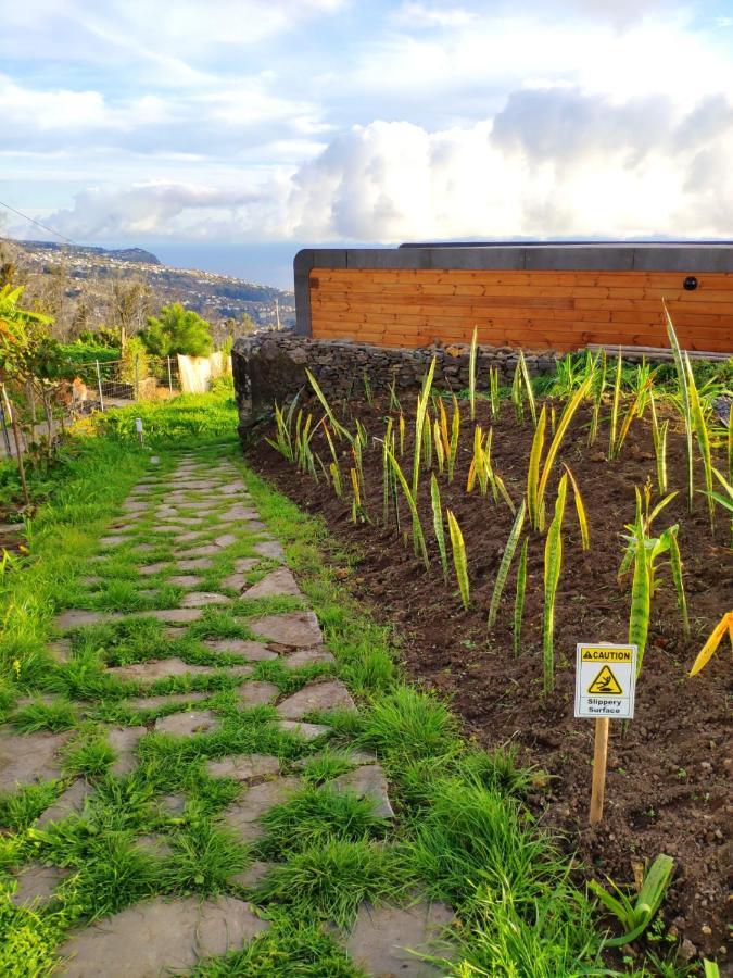 Calheta Glamping Pods - Nature Retreat Exterior foto